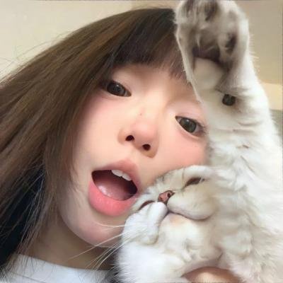 愤世嫉俗者、老鼠和拳头